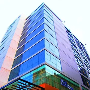 Bengal Blueberry **** Dhaka